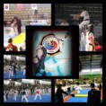 /album/edtkd-%20equipe%20demonstra%c3%a7%c3%a3o%20de%20taekwondo%20da%20afto%20/afto-3-jpg/